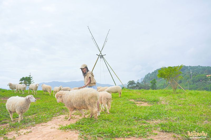 สถานที่ท่องเที่ยวเพชรบูรณ์, เพชรบูรณ์, ที่เที่ยวเพชรบูรณ์, เขาค้อ, ที่เที่ยวเขาค้อ, สถานที่ท่องเที่ยวเขาค้อ, top 20+ ที่เที่ยวเขาค้อ สัมผัสธรรมชาติ สายหมอกสุดฟิน