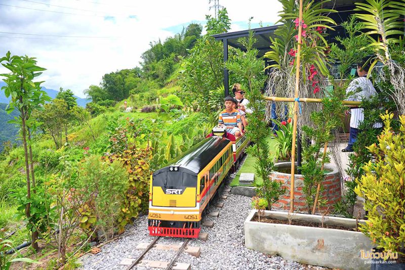 สถานที่ท่องเที่ยวเพชรบูรณ์, เพชรบูรณ์, ที่เที่ยวเพชรบูรณ์, เขาค้อ, ที่เที่ยวเขาค้อ, สถานที่ท่องเที่ยวเขาค้อ, top 20+ ที่เที่ยวเขาค้อ สัมผัสธรรมชาติ สายหมอกสุดฟิน