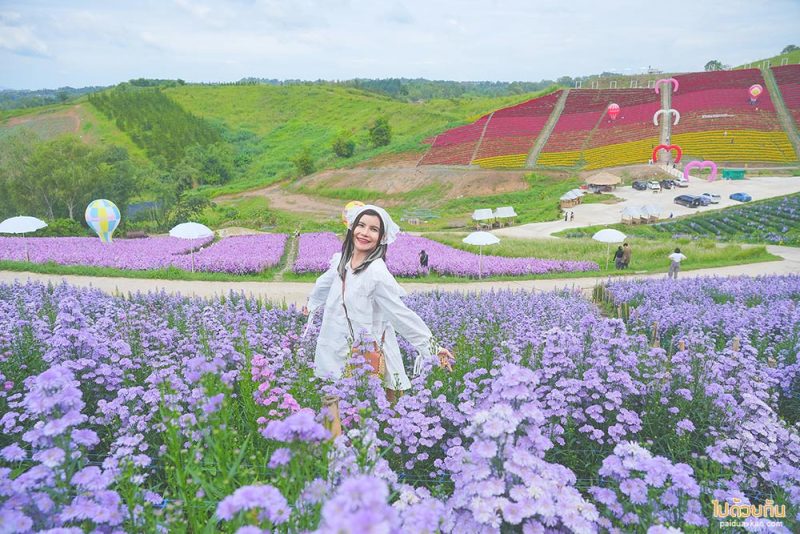 สถานที่ท่องเที่ยวเพชรบูรณ์, เพชรบูรณ์, ที่เที่ยวเพชรบูรณ์, เขาค้อ, ที่เที่ยวเขาค้อ, สถานที่ท่องเที่ยวเขาค้อ, top 20+ ที่เที่ยวเขาค้อ สัมผัสธรรมชาติ สายหมอกสุดฟิน