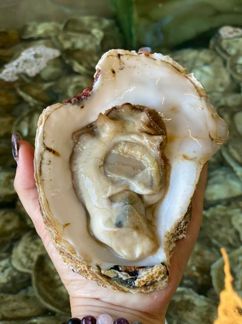 รวมร้านอาหาร ประจวบ ร้านอร่อย บรรยากาศดีที่ควรแวะ!