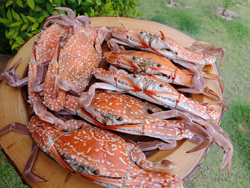 รวมร้านอาหาร ประจวบ ร้านอร่อย บรรยากาศดีที่ควรแวะ!