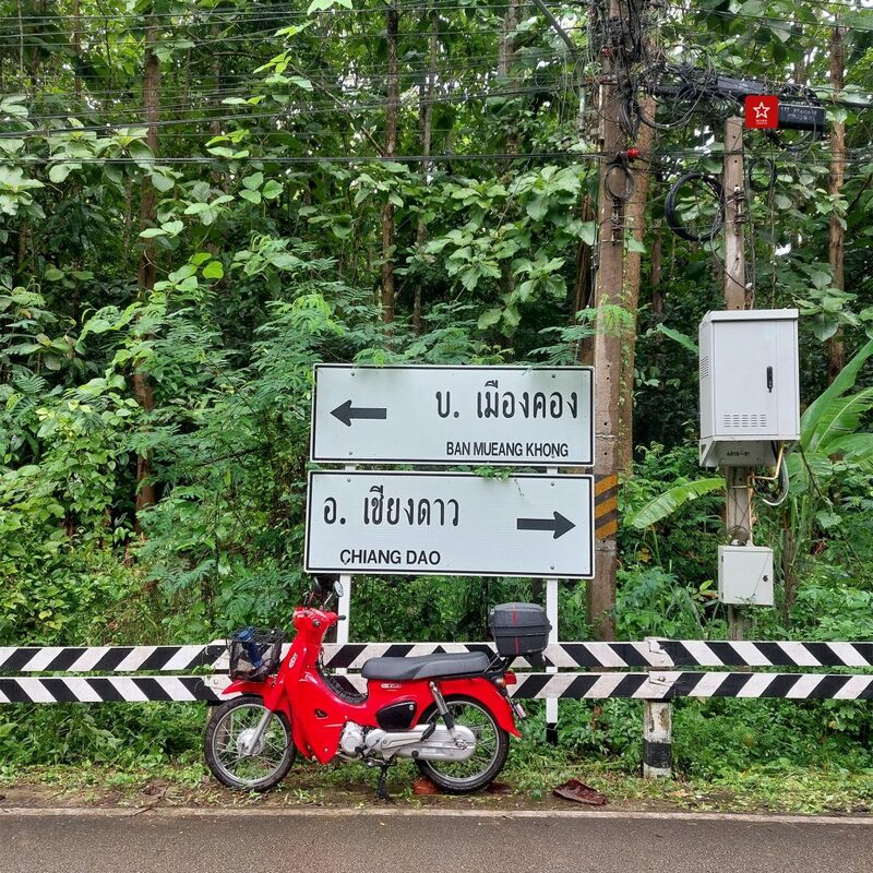 reviewchiangmai, ที่เที่ยวเชียงใหม่, รีวิวเชียงใหม่, วัดถ้ำเชียงดาว, เคียงดาว, เชียงดาว, เมืองคอง, แอ่วได้แอ่วดี, วัดถ้ำเชียงดาว เมืองคอง เชียงดาว ขี่ซุปเปอร์คัพขึ้นชมยอดดอยหลวงที่ เคียงดอย