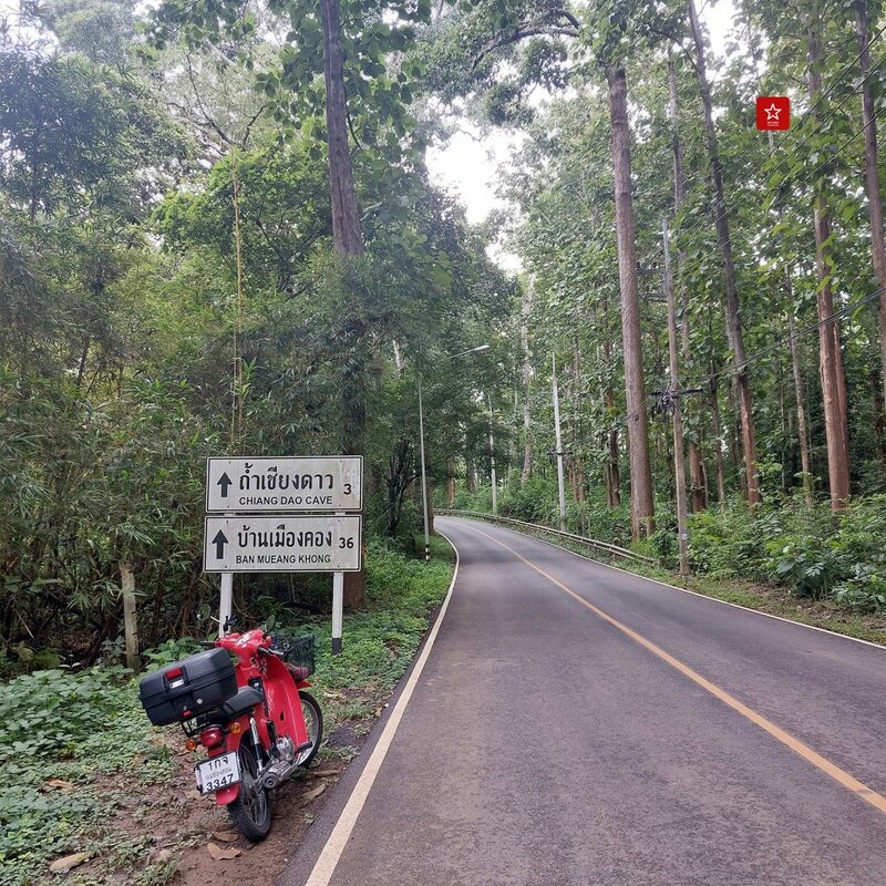 reviewchiangmai, ที่เที่ยวเชียงใหม่, รีวิวเชียงใหม่, วัดถ้ำเชียงดาว, เคียงดาว, เชียงดาว, เมืองคอง, แอ่วได้แอ่วดี, วัดถ้ำเชียงดาว เมืองคอง เชียงดาว ขี่ซุปเปอร์คัพขึ้นชมยอดดอยหลวงที่ เคียงดอย