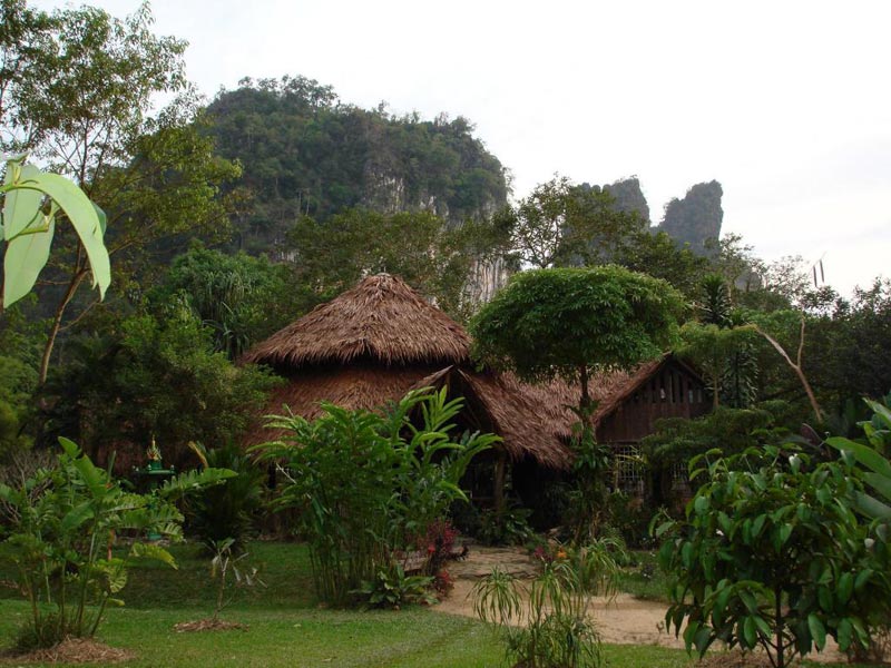 ที่พักเขาสก, ที่พักสุราษฎร์, รีสอร์ทเขาสก, เขาสกที่พักธรรมชาติ, top 15+ ที่พักเขาสก สัมผัสบรรยากาศสุดโรแมนติก ท่ามกลางขุนเขาและหมอก