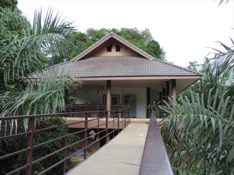 ที่พักเขาสก, ที่พักสุราษฎร์, รีสอร์ทเขาสก, เขาสกที่พักธรรมชาติ, top 15+ ที่พักเขาสก สัมผัสบรรยากาศสุดโรแมนติก ท่ามกลางขุนเขาและหมอก