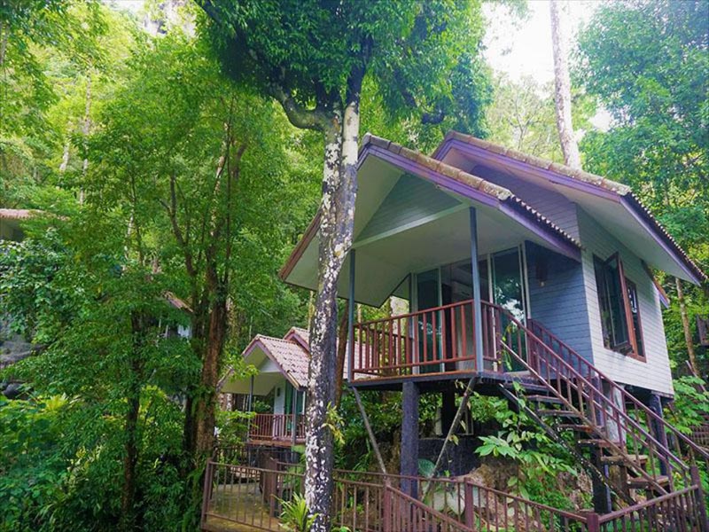 ที่พักเขาสก, ที่พักสุราษฎร์, รีสอร์ทเขาสก, เขาสกที่พักธรรมชาติ, top 15+ ที่พักเขาสก สัมผัสบรรยากาศสุดโรแมนติก ท่ามกลางขุนเขาและหมอก