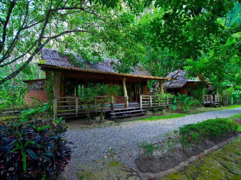 ที่พักเขาสก, ที่พักสุราษฎร์, รีสอร์ทเขาสก, เขาสกที่พักธรรมชาติ, top 15+ ที่พักเขาสก สัมผัสบรรยากาศสุดโรแมนติก ท่ามกลางขุนเขาและหมอก