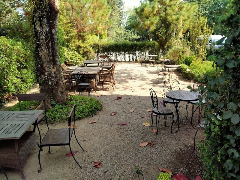 a daily, abonzo paradise, akha farm, akha farmville, akha phamio, cafe&039; lista, flow chiangsean, jadae house, kiengdoi cafe, kyoto shi cafe, kyoto shi cafe เชียงราย, laan-tim&039;s cafe, lalitta cafe, melt in your mouth, something journey, the bc2 cafe, yayo farm, คาเฟ่ดอยช้าง, คาเฟ่ดอยผาหมี, คาเฟ่เชียงราย, คาเฟ่เชียงราย 2023, คาเฟ่เชียงราย 2566, คาเฟ่เชียงราย ธรรมชาติ, คาเฟ่เชียงราย ใกล้สนามบิน, คาเฟ่เชียงราย ในเมือง, คาเฟ่ใกล้ฉัน, ทุ่งเคียงดอย, สวนคุณปู่, สวนคุณปู่ life museum, อาข่า พามิโอ้, เมลท์ อิน ยัวร์ เม้าท์, top 20+ คาเฟ่เชียงราย [กรกฎาคม 2024] จิบกาแฟ พร้อมดื่มด่ำธรรมชาติสุดฟิน ที่ดินแดนเมืองเหนือ