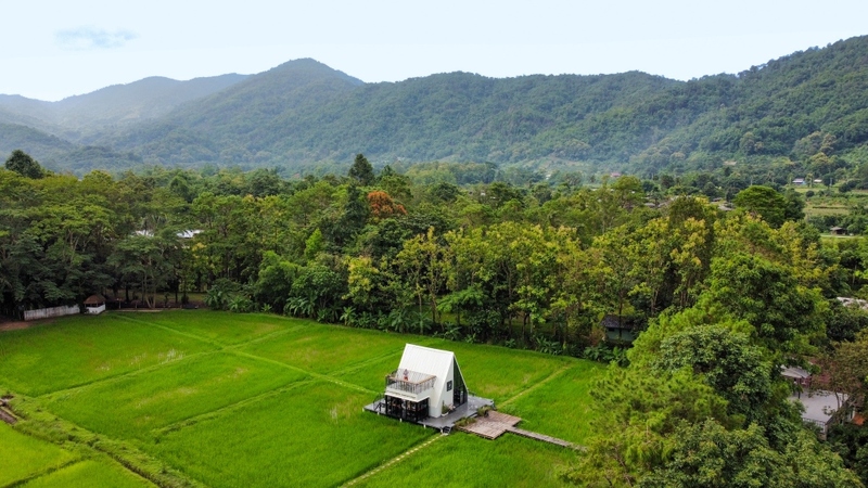 a daily, abonzo paradise, akha farm, akha farmville, akha phamio, cafe&039; lista, flow chiangsean, jadae house, kiengdoi cafe, kyoto shi cafe, kyoto shi cafe เชียงราย, laan-tim&039;s cafe, lalitta cafe, melt in your mouth, something journey, the bc2 cafe, yayo farm, คาเฟ่ดอยช้าง, คาเฟ่ดอยผาหมี, คาเฟ่เชียงราย, คาเฟ่เชียงราย 2023, คาเฟ่เชียงราย 2566, คาเฟ่เชียงราย ธรรมชาติ, คาเฟ่เชียงราย ใกล้สนามบิน, คาเฟ่เชียงราย ในเมือง, คาเฟ่ใกล้ฉัน, ทุ่งเคียงดอย, สวนคุณปู่, สวนคุณปู่ life museum, อาข่า พามิโอ้, เมลท์ อิน ยัวร์ เม้าท์, top 20+ คาเฟ่เชียงราย [กรกฎาคม 2024] จิบกาแฟ พร้อมดื่มด่ำธรรมชาติสุดฟิน ที่ดินแดนเมืองเหนือ