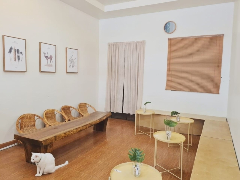 a daily, abonzo paradise, akha farm, akha farmville, akha phamio, cafe&039; lista, flow chiangsean, jadae house, kiengdoi cafe, kyoto shi cafe, kyoto shi cafe เชียงราย, laan-tim&039;s cafe, lalitta cafe, melt in your mouth, something journey, the bc2 cafe, yayo farm, คาเฟ่ดอยช้าง, คาเฟ่ดอยผาหมี, คาเฟ่เชียงราย, คาเฟ่เชียงราย 2023, คาเฟ่เชียงราย 2566, คาเฟ่เชียงราย ธรรมชาติ, คาเฟ่เชียงราย ใกล้สนามบิน, คาเฟ่เชียงราย ในเมือง, คาเฟ่ใกล้ฉัน, ทุ่งเคียงดอย, สวนคุณปู่, สวนคุณปู่ life museum, อาข่า พามิโอ้, เมลท์ อิน ยัวร์ เม้าท์, top 20+ คาเฟ่เชียงราย [กรกฎาคม 2024] จิบกาแฟ พร้อมดื่มด่ำธรรมชาติสุดฟิน ที่ดินแดนเมืองเหนือ