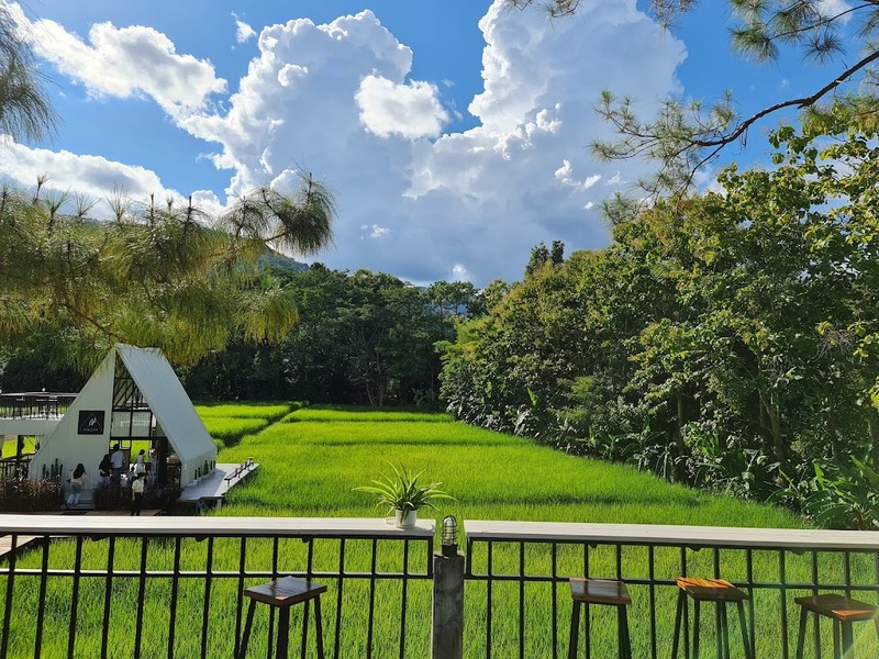 a daily, abonzo paradise, akha farm, akha farmville, akha phamio, cafe&039; lista, flow chiangsean, jadae house, kiengdoi cafe, kyoto shi cafe, kyoto shi cafe เชียงราย, laan-tim&039;s cafe, lalitta cafe, melt in your mouth, something journey, the bc2 cafe, yayo farm, คาเฟ่ดอยช้าง, คาเฟ่ดอยผาหมี, คาเฟ่เชียงราย, คาเฟ่เชียงราย 2023, คาเฟ่เชียงราย 2566, คาเฟ่เชียงราย ธรรมชาติ, คาเฟ่เชียงราย ใกล้สนามบิน, คาเฟ่เชียงราย ในเมือง, คาเฟ่ใกล้ฉัน, ทุ่งเคียงดอย, สวนคุณปู่, สวนคุณปู่ life museum, อาข่า พามิโอ้, เมลท์ อิน ยัวร์ เม้าท์, top 20+ คาเฟ่เชียงราย [กรกฎาคม 2024] จิบกาแฟ พร้อมดื่มด่ำธรรมชาติสุดฟิน ที่ดินแดนเมืองเหนือ