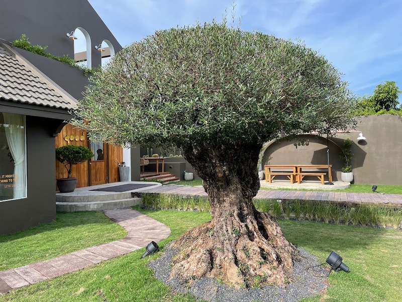 a daily, abonzo paradise, akha farm, akha farmville, akha phamio, cafe&039; lista, flow chiangsean, jadae house, kiengdoi cafe, kyoto shi cafe, kyoto shi cafe เชียงราย, laan-tim&039;s cafe, lalitta cafe, melt in your mouth, something journey, the bc2 cafe, yayo farm, คาเฟ่ดอยช้าง, คาเฟ่ดอยผาหมี, คาเฟ่เชียงราย, คาเฟ่เชียงราย 2023, คาเฟ่เชียงราย 2566, คาเฟ่เชียงราย ธรรมชาติ, คาเฟ่เชียงราย ใกล้สนามบิน, คาเฟ่เชียงราย ในเมือง, คาเฟ่ใกล้ฉัน, ทุ่งเคียงดอย, สวนคุณปู่, สวนคุณปู่ life museum, อาข่า พามิโอ้, เมลท์ อิน ยัวร์ เม้าท์, top 20+ คาเฟ่เชียงราย [กรกฎาคม 2024] จิบกาแฟ พร้อมดื่มด่ำธรรมชาติสุดฟิน ที่ดินแดนเมืองเหนือ