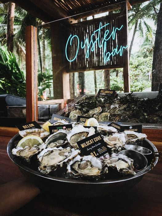 top 12+ ร้านคาเฟ่วิวทะเล @ภูเก็ต ร้านสวยบรรยากาศดีมากกก ไปเเล้วอย่าพลาด