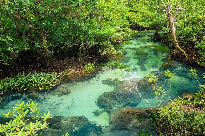 กระบี่, top 12+ ที่เที่ยวกระบี่ 2567 จุดเช็คอินสุดฮิต ซัมเมอร์นี้เที่ยวจัดเต็ม
