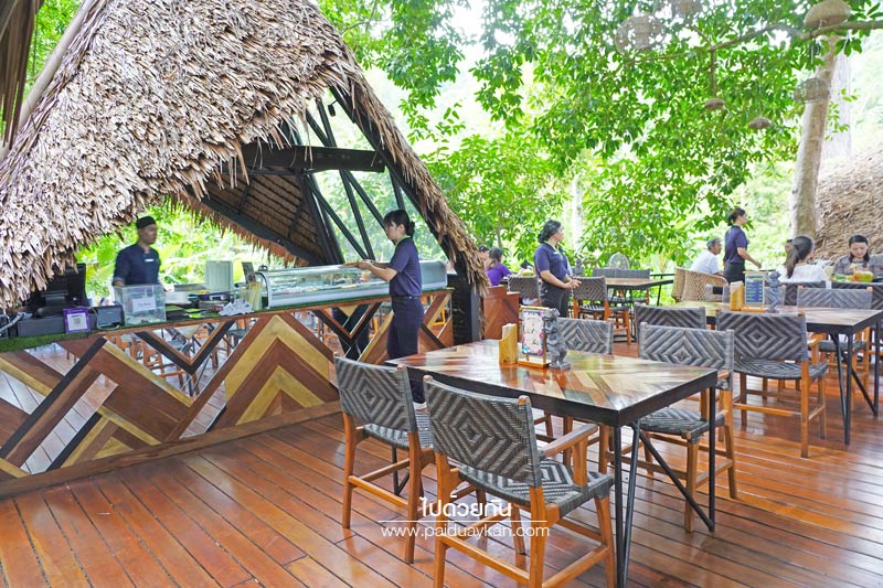 ภูเก็ต, เที่ยวภูเก็ต, tree monkeys ภูเก็ต, ร้านอาหารภูเก็ต, คาเฟ่ภูเก็ต, tree monkeys ภูเก็ต คาเฟ่ฮิบ ใจกลางป่า และธรรมชาติ