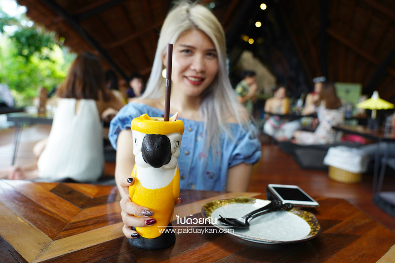 ภูเก็ต, เที่ยวภูเก็ต, tree monkeys ภูเก็ต, ร้านอาหารภูเก็ต, คาเฟ่ภูเก็ต, tree monkeys ภูเก็ต คาเฟ่ฮิบ ใจกลางป่า และธรรมชาติ