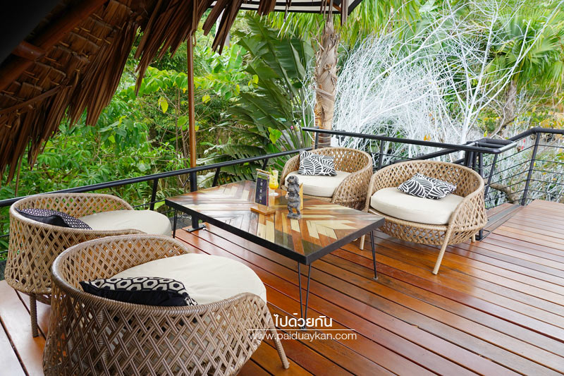 ภูเก็ต, เที่ยวภูเก็ต, tree monkeys ภูเก็ต, ร้านอาหารภูเก็ต, คาเฟ่ภูเก็ต, tree monkeys ภูเก็ต คาเฟ่ฮิบ ใจกลางป่า และธรรมชาติ