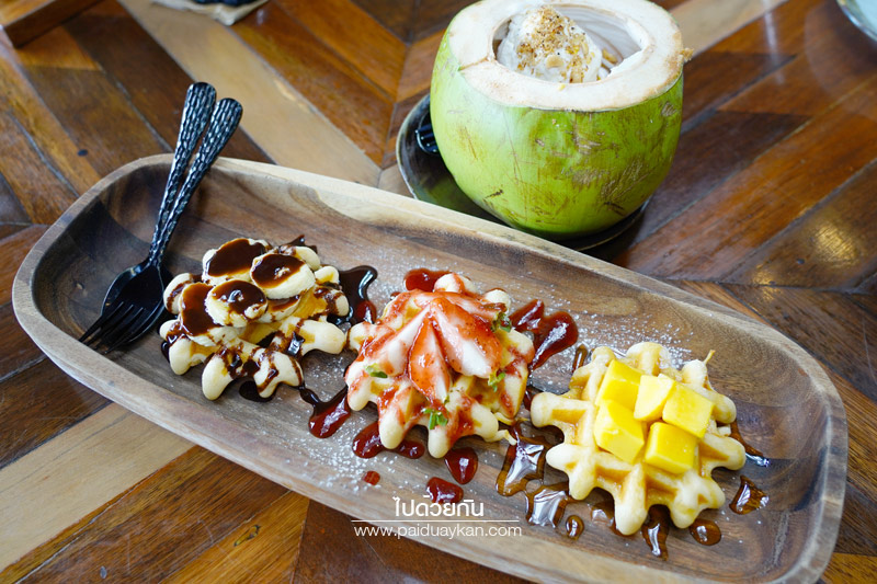 ภูเก็ต, เที่ยวภูเก็ต, tree monkeys ภูเก็ต, ร้านอาหารภูเก็ต, คาเฟ่ภูเก็ต, tree monkeys ภูเก็ต คาเฟ่ฮิบ ใจกลางป่า และธรรมชาติ