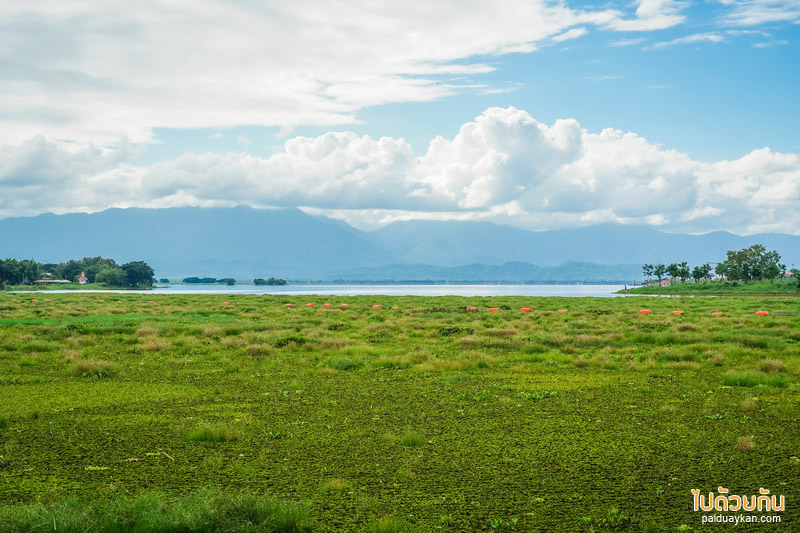 คาเฟ่พะเยา, บ้านอิงกว๊าน, บ้านอิงกว๊าน คาเฟ่สุดชิลริมกว๊านพะเยา