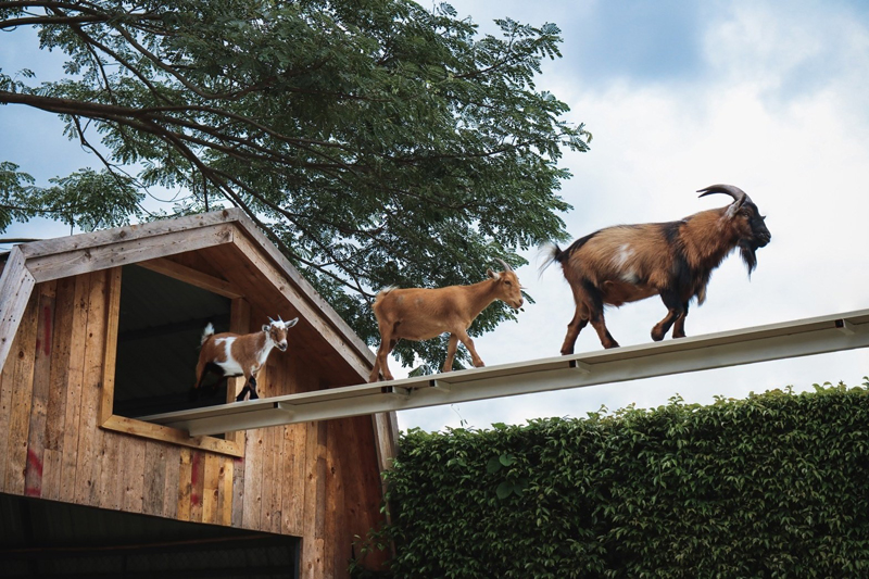 top 26+ ที่พักราชบุรี 2567 ที่พักวิวสวย ใกล้ชิดธรรมชาติ อัปเดตใหม่ล่าสุด