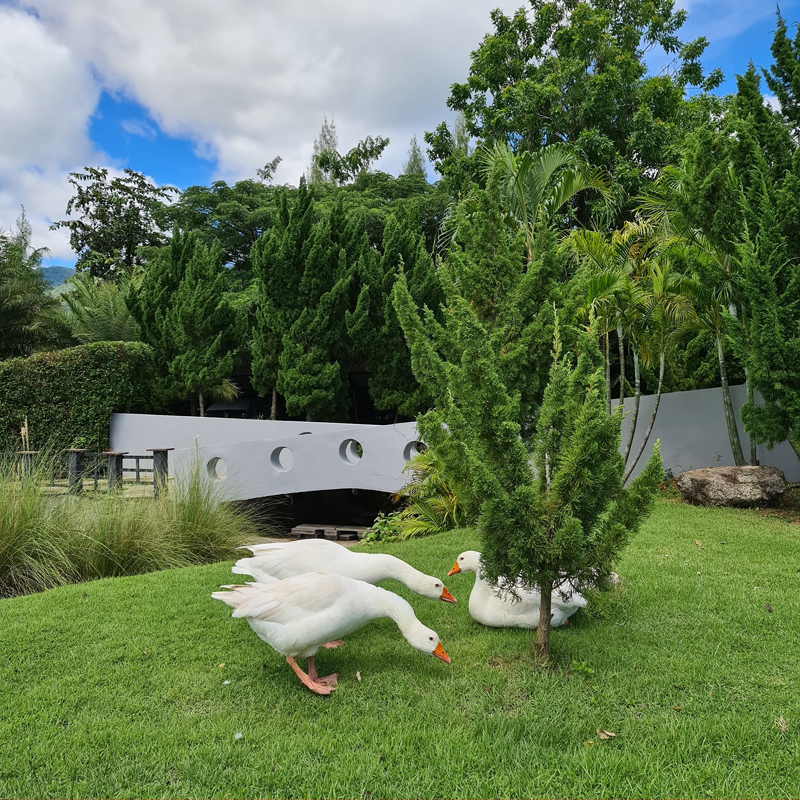 top 26+ ที่พักราชบุรี 2567 ที่พักวิวสวย ใกล้ชิดธรรมชาติ อัปเดตใหม่ล่าสุด