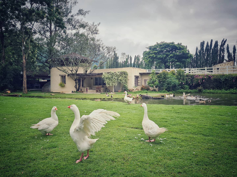 top 26+ ที่พักราชบุรี 2567 ที่พักวิวสวย ใกล้ชิดธรรมชาติ อัปเดตใหม่ล่าสุด