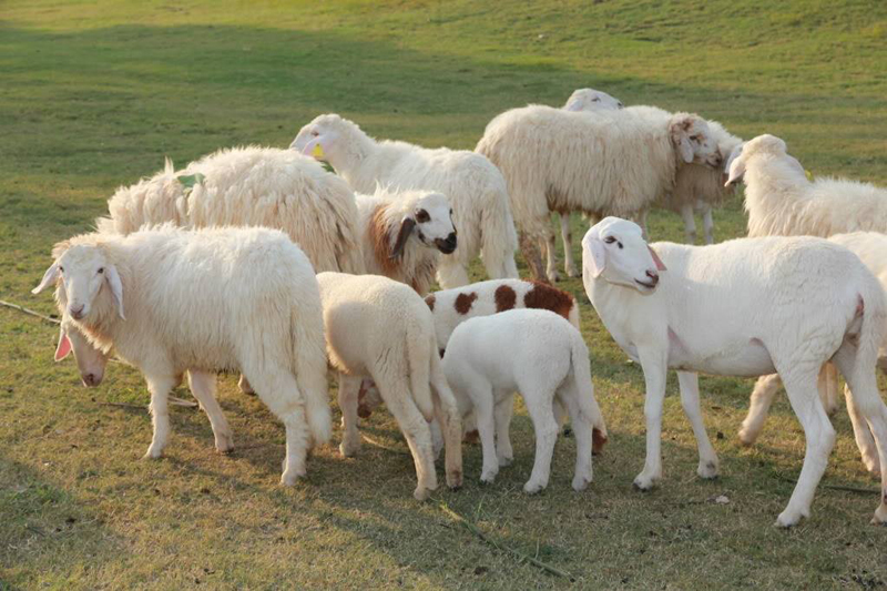 top 26+ ที่พักราชบุรี 2567 ที่พักวิวสวย ใกล้ชิดธรรมชาติ อัปเดตใหม่ล่าสุด