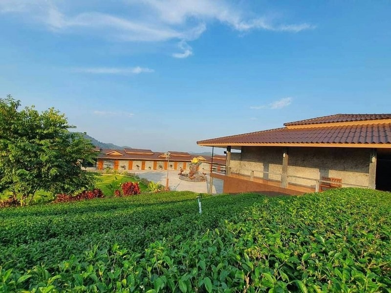 top 12+ ที่พักเชียงราย 2567 ที่พักวิวสวย บรรยากาศสุดฟิน