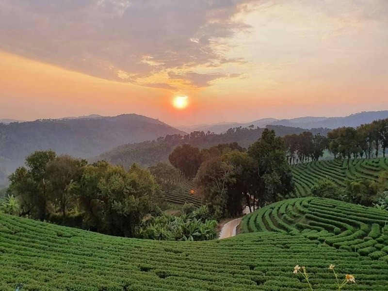 top 12+ ที่พักเชียงราย 2567 ที่พักวิวสวย บรรยากาศสุดฟิน