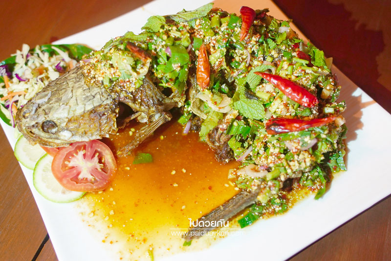 ร้านมังกรทอ, นัดพบยูงทอง นราธิวาส, นราธิวาส, ร้านอาหารนราธิวาส, ร้านมันตรา นราธิวาส, ร้านอาหารเช้านราธิวาส, ร้านดีเด่น นราธิวาส, แซ่บผ่านหมอก, top 5+ ร้านเด็ดนราธิวาส หรอยอย่างแรง