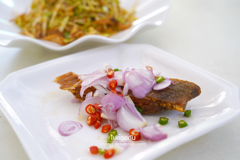 ร้านมังกรทอ, นัดพบยูงทอง นราธิวาส, นราธิวาส, ร้านอาหารนราธิวาส, ร้านมันตรา นราธิวาส, ร้านอาหารเช้านราธิวาส, ร้านดีเด่น นราธิวาส, แซ่บผ่านหมอก, top 5+ ร้านเด็ดนราธิวาส หรอยอย่างแรง