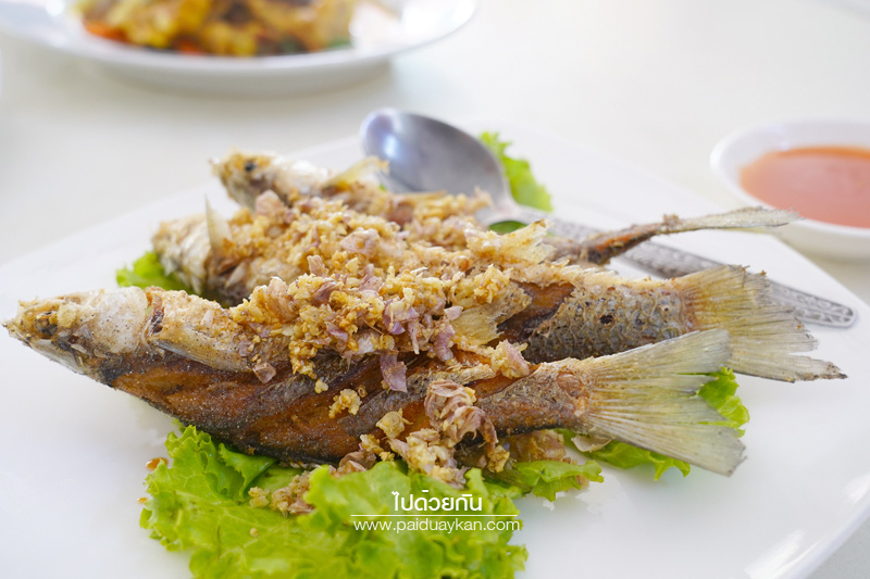 ร้านมังกรทอ, นัดพบยูงทอง นราธิวาส, นราธิวาส, ร้านอาหารนราธิวาส, ร้านมันตรา นราธิวาส, ร้านอาหารเช้านราธิวาส, ร้านดีเด่น นราธิวาส, แซ่บผ่านหมอก, top 5+ ร้านเด็ดนราธิวาส หรอยอย่างแรง