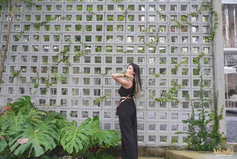 คาเฟ่นครศรีธรรมราช, aston gilbert นครศรีธรรมราช, ร้านกาแฟพรมคีรี, คาเฟ่พรมหมคีรี, aston gilbert คาเฟ่กระจกสุดล้ำ ท่ามกลางสวนยาง