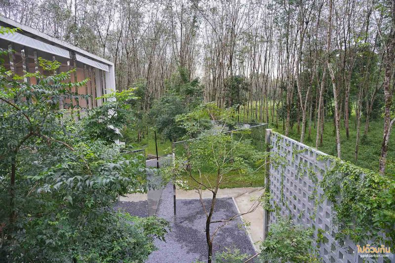 คาเฟ่นครศรีธรรมราช, aston gilbert นครศรีธรรมราช, ร้านกาแฟพรมคีรี, คาเฟ่พรมหมคีรี, aston gilbert คาเฟ่กระจกสุดล้ำ ท่ามกลางสวนยาง