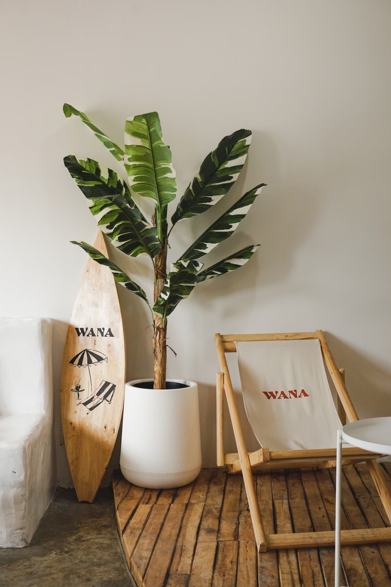 top 11+ คาเฟ่หลากสไตล์ ทวีวัฒนา-ศาลายา สายคาเฟ่ห้ามพลาด!