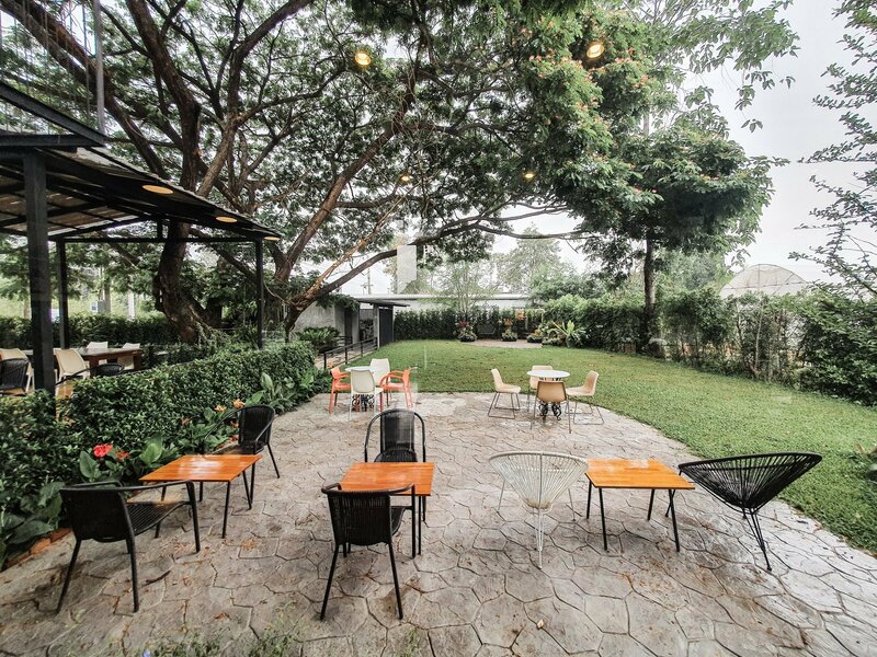 top 11+ คาเฟ่หลากสไตล์ ทวีวัฒนา-ศาลายา สายคาเฟ่ห้ามพลาด!