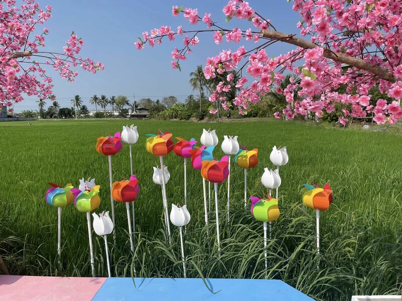 top 11+ คาเฟ่หลากสไตล์ ทวีวัฒนา-ศาลายา สายคาเฟ่ห้ามพลาด!