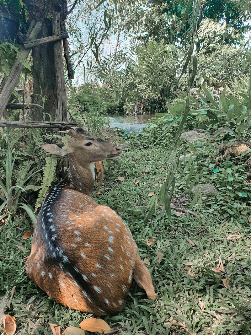 top 11+ คาเฟ่หลากสไตล์ ทวีวัฒนา-ศาลายา สายคาเฟ่ห้ามพลาด!