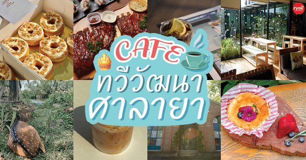 top 11+ คาเฟ่หลากสไตล์ ทวีวัฒนา-ศาลายา สายคาเฟ่ห้ามพลาด!