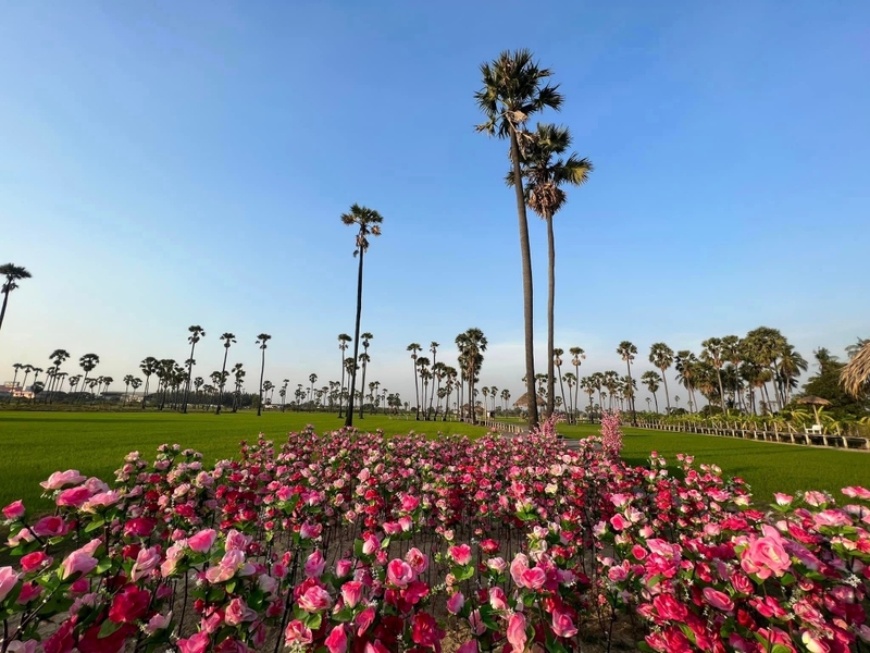 auntie's garden, auntie's garden cafe & restaurant, breadtory, cafe continue, continue cafe, curve caf&039;, gamble glamping, kanya cafe, kappu gamu cafe and game store, la miette, lamer cafe, lamer homecraft cafe, nitan cafe & garden, pumpkin art town, r house, ruedookarn cafe & cuisine, sunday in 345, the aileen cafe, three iconic, กัญญา คาเฟ่, คัปปุเกมมุ, คาเฟ่ ใกล้ฉัน, คาเฟ่ทะเลทราย, คาเฟ่ปทุม, คาเฟ่ปทุมธานี, คาเฟ่ปทุมธานี 2024, คาเฟ่ปทุมธานี 2567, คาเฟ่เปิดใหม่ ปทุมธานี, คาเฟ่ใกล้กรุงเทพ, คาเฟ่ใกล้ฉัน, ณ ปทุม คาเฟ่, ธรีไอคอนิค, นิทาน คาเฟ่, บ้าน ๑๐๐๐ ไม้, บ้านพันไม้ คาเฟ่, บ้านเชือก คาเฟ่, ยุ้ง ๗, ยุ้ง ๗ lifestyle & eatery, ร้านอาหารแกะกะบัว, ฤดูกาล คาเฟ่, ละเมอ คาเฟ่, ละเมียด คาเฟ่, แกะ กะ บัว, top 20+ คาเฟ่ปทุมธานี [กรกฎาคม 2024] บรรยากาศดี วิวสวย ถ่ายรูปปัง ไม่ไกลกรุงเทพ