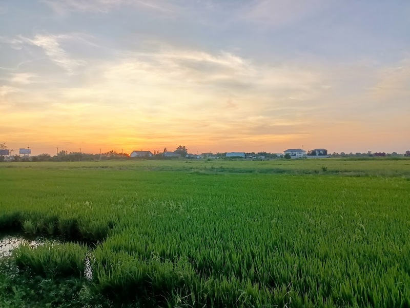 auntie's garden, auntie's garden cafe & restaurant, breadtory, cafe continue, continue cafe, curve caf&039;, gamble glamping, kanya cafe, kappu gamu cafe and game store, la miette, lamer cafe, lamer homecraft cafe, nitan cafe & garden, pumpkin art town, r house, ruedookarn cafe & cuisine, sunday in 345, the aileen cafe, three iconic, กัญญา คาเฟ่, คัปปุเกมมุ, คาเฟ่ ใกล้ฉัน, คาเฟ่ทะเลทราย, คาเฟ่ปทุม, คาเฟ่ปทุมธานี, คาเฟ่ปทุมธานี 2024, คาเฟ่ปทุมธานี 2567, คาเฟ่เปิดใหม่ ปทุมธานี, คาเฟ่ใกล้กรุงเทพ, คาเฟ่ใกล้ฉัน, ณ ปทุม คาเฟ่, ธรีไอคอนิค, นิทาน คาเฟ่, บ้าน ๑๐๐๐ ไม้, บ้านพันไม้ คาเฟ่, บ้านเชือก คาเฟ่, ยุ้ง ๗, ยุ้ง ๗ lifestyle & eatery, ร้านอาหารแกะกะบัว, ฤดูกาล คาเฟ่, ละเมอ คาเฟ่, ละเมียด คาเฟ่, แกะ กะ บัว, top 20+ คาเฟ่ปทุมธานี [กรกฎาคม 2024] บรรยากาศดี วิวสวย ถ่ายรูปปัง ไม่ไกลกรุงเทพ