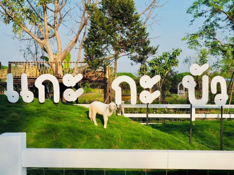 auntie's garden, auntie's garden cafe & restaurant, breadtory, cafe continue, continue cafe, curve caf&039;, gamble glamping, kanya cafe, kappu gamu cafe and game store, la miette, lamer cafe, lamer homecraft cafe, nitan cafe & garden, pumpkin art town, r house, ruedookarn cafe & cuisine, sunday in 345, the aileen cafe, three iconic, กัญญา คาเฟ่, คัปปุเกมมุ, คาเฟ่ ใกล้ฉัน, คาเฟ่ทะเลทราย, คาเฟ่ปทุม, คาเฟ่ปทุมธานี, คาเฟ่ปทุมธานี 2024, คาเฟ่ปทุมธานี 2567, คาเฟ่เปิดใหม่ ปทุมธานี, คาเฟ่ใกล้กรุงเทพ, คาเฟ่ใกล้ฉัน, ณ ปทุม คาเฟ่, ธรีไอคอนิค, นิทาน คาเฟ่, บ้าน ๑๐๐๐ ไม้, บ้านพันไม้ คาเฟ่, บ้านเชือก คาเฟ่, ยุ้ง ๗, ยุ้ง ๗ lifestyle & eatery, ร้านอาหารแกะกะบัว, ฤดูกาล คาเฟ่, ละเมอ คาเฟ่, ละเมียด คาเฟ่, แกะ กะ บัว, top 20+ คาเฟ่ปทุมธานี [กรกฎาคม 2024] บรรยากาศดี วิวสวย ถ่ายรูปปัง ไม่ไกลกรุงเทพ