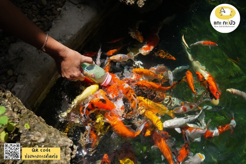 auntie's garden, auntie's garden cafe & restaurant, breadtory, cafe continue, continue cafe, curve caf&039;, gamble glamping, kanya cafe, kappu gamu cafe and game store, la miette, lamer cafe, lamer homecraft cafe, nitan cafe & garden, pumpkin art town, r house, ruedookarn cafe & cuisine, sunday in 345, the aileen cafe, three iconic, กัญญา คาเฟ่, คัปปุเกมมุ, คาเฟ่ ใกล้ฉัน, คาเฟ่ทะเลทราย, คาเฟ่ปทุม, คาเฟ่ปทุมธานี, คาเฟ่ปทุมธานี 2024, คาเฟ่ปทุมธานี 2567, คาเฟ่เปิดใหม่ ปทุมธานี, คาเฟ่ใกล้กรุงเทพ, คาเฟ่ใกล้ฉัน, ณ ปทุม คาเฟ่, ธรีไอคอนิค, นิทาน คาเฟ่, บ้าน ๑๐๐๐ ไม้, บ้านพันไม้ คาเฟ่, บ้านเชือก คาเฟ่, ยุ้ง ๗, ยุ้ง ๗ lifestyle & eatery, ร้านอาหารแกะกะบัว, ฤดูกาล คาเฟ่, ละเมอ คาเฟ่, ละเมียด คาเฟ่, แกะ กะ บัว, top 20+ คาเฟ่ปทุมธานี [กรกฎาคม 2024] บรรยากาศดี วิวสวย ถ่ายรูปปัง ไม่ไกลกรุงเทพ