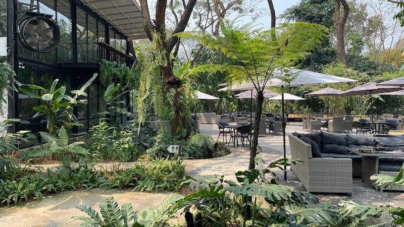 art farmer cafe, bob chiang mai, charin pie, cheevit cheeva cafe, cheevit cheeva dessert cafe, chic ruedoo, chom cafe and restaurant, gateway coffee roaster, groon, koff and things, koff and things cafe, mars cafe, mars.cnx, matchappen, mooh, morestto, much room cafe, shu homemade, taitoonbaan, tastecafe atelier, the baristro asian style, transit number 8, treespresso cafe, yelloo, กรุ่น, กรุ่นคาเฟ่, คาเฟ่, คาเฟ่ ใกล้ฉัน, คาเฟ่ชาเขียวเชียงใหม่, คาเฟ่ตัวเมืองเชียงใหม่, คาเฟ่นิมมาน, คาเฟ่เชียงใหม่, คาเฟ่เชียงใหม่ 2024, คาเฟ่เชียงใหม่ 2567, คาเฟ่เชียงใหม่ ในเมือง, คาเฟ่เชียงใหม่ ในเมือง 2024, คาเฟ่เชียงใหม่ ในเมือง 2567, คาเฟ่เชียงใหม่ในเมือง, คาเฟ่เมืองเชียงใหม่, คาเฟ่เมืองเชียงใหม่ 2024, คาเฟ่เมืองเชียงใหม่ 2567, คาเฟ่ใกล้ฉัน, คาเฟ่ในเมืองเชียงใหม่ 2024, คาเฟ่ในเมืองเชียงใหม่ 2567, จริณคาเฟ่, ชมคาเฟ่, ชมคาเฟ่ เชียงใหม่, ชิคฤดูคาเฟ่, ทรานซิสนัมเบอร์เอ้ก, ร้านโดนัทเชียงใหม่, หมู, ใต้ถุนบ้าน, top 20+ คาเฟ่ เมืองเชียงใหม่ [กรกฎาคม 2024] บรรยากาศดี ร้านสวย กาแฟอร่อย มุมถ่ายรูปเยอะ