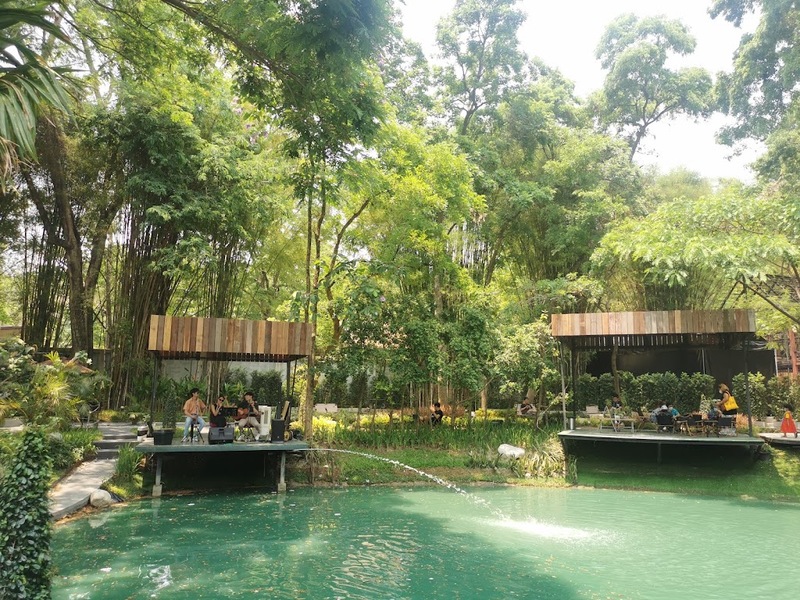 art farmer cafe, bob chiang mai, charin pie, cheevit cheeva cafe, cheevit cheeva dessert cafe, chic ruedoo, chom cafe and restaurant, gateway coffee roaster, groon, koff and things, koff and things cafe, mars cafe, mars.cnx, matchappen, mooh, morestto, much room cafe, shu homemade, taitoonbaan, tastecafe atelier, the baristro asian style, transit number 8, treespresso cafe, yelloo, กรุ่น, กรุ่นคาเฟ่, คาเฟ่, คาเฟ่ ใกล้ฉัน, คาเฟ่ชาเขียวเชียงใหม่, คาเฟ่ตัวเมืองเชียงใหม่, คาเฟ่นิมมาน, คาเฟ่เชียงใหม่, คาเฟ่เชียงใหม่ 2024, คาเฟ่เชียงใหม่ 2567, คาเฟ่เชียงใหม่ ในเมือง, คาเฟ่เชียงใหม่ ในเมือง 2024, คาเฟ่เชียงใหม่ ในเมือง 2567, คาเฟ่เชียงใหม่ในเมือง, คาเฟ่เมืองเชียงใหม่, คาเฟ่เมืองเชียงใหม่ 2024, คาเฟ่เมืองเชียงใหม่ 2567, คาเฟ่ใกล้ฉัน, คาเฟ่ในเมืองเชียงใหม่ 2024, คาเฟ่ในเมืองเชียงใหม่ 2567, จริณคาเฟ่, ชมคาเฟ่, ชมคาเฟ่ เชียงใหม่, ชิคฤดูคาเฟ่, ทรานซิสนัมเบอร์เอ้ก, ร้านโดนัทเชียงใหม่, หมู, ใต้ถุนบ้าน, top 20+ คาเฟ่ เมืองเชียงใหม่ [กรกฎาคม 2024] บรรยากาศดี ร้านสวย กาแฟอร่อย มุมถ่ายรูปเยอะ