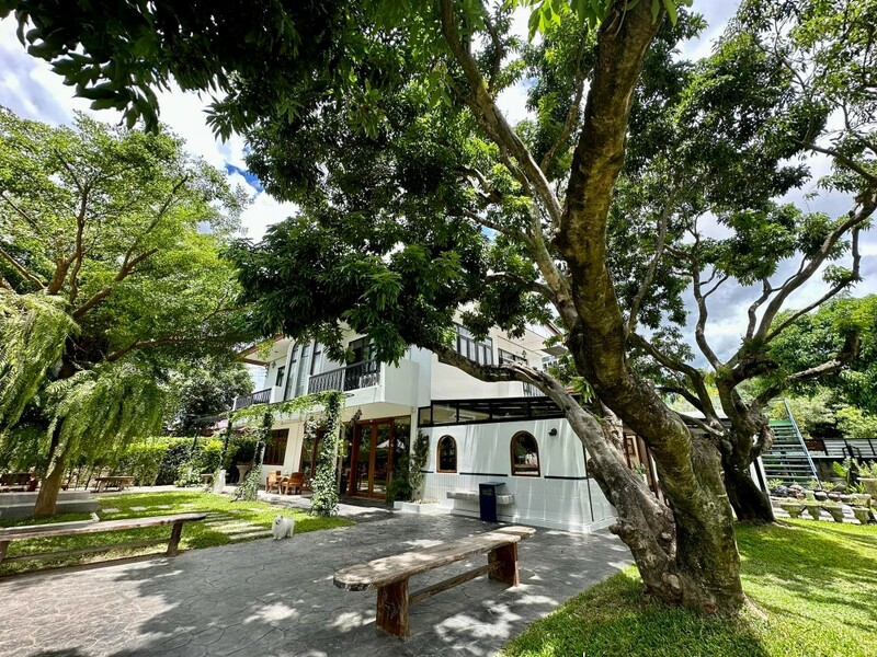 art farmer cafe, bob chiang mai, charin pie, cheevit cheeva cafe, cheevit cheeva dessert cafe, chic ruedoo, chom cafe and restaurant, gateway coffee roaster, groon, koff and things, koff and things cafe, mars cafe, mars.cnx, matchappen, mooh, morestto, much room cafe, shu homemade, taitoonbaan, tastecafe atelier, the baristro asian style, transit number 8, treespresso cafe, yelloo, กรุ่น, กรุ่นคาเฟ่, คาเฟ่, คาเฟ่ ใกล้ฉัน, คาเฟ่ชาเขียวเชียงใหม่, คาเฟ่ตัวเมืองเชียงใหม่, คาเฟ่นิมมาน, คาเฟ่เชียงใหม่, คาเฟ่เชียงใหม่ 2024, คาเฟ่เชียงใหม่ 2567, คาเฟ่เชียงใหม่ ในเมือง, คาเฟ่เชียงใหม่ ในเมือง 2024, คาเฟ่เชียงใหม่ ในเมือง 2567, คาเฟ่เชียงใหม่ในเมือง, คาเฟ่เมืองเชียงใหม่, คาเฟ่เมืองเชียงใหม่ 2024, คาเฟ่เมืองเชียงใหม่ 2567, คาเฟ่ใกล้ฉัน, คาเฟ่ในเมืองเชียงใหม่ 2024, คาเฟ่ในเมืองเชียงใหม่ 2567, จริณคาเฟ่, ชมคาเฟ่, ชมคาเฟ่ เชียงใหม่, ชิคฤดูคาเฟ่, ทรานซิสนัมเบอร์เอ้ก, ร้านโดนัทเชียงใหม่, หมู, ใต้ถุนบ้าน, top 20+ คาเฟ่ เมืองเชียงใหม่ [กรกฎาคม 2024] บรรยากาศดี ร้านสวย กาแฟอร่อย มุมถ่ายรูปเยอะ