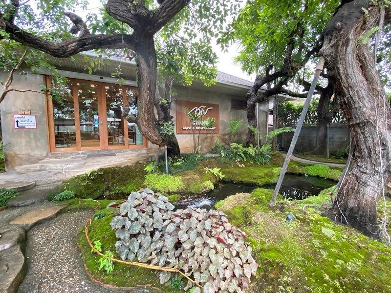 art farmer cafe, bob chiang mai, charin pie, cheevit cheeva cafe, cheevit cheeva dessert cafe, chic ruedoo, chom cafe and restaurant, gateway coffee roaster, groon, koff and things, koff and things cafe, mars cafe, mars.cnx, matchappen, mooh, morestto, much room cafe, shu homemade, taitoonbaan, tastecafe atelier, the baristro asian style, transit number 8, treespresso cafe, yelloo, กรุ่น, กรุ่นคาเฟ่, คาเฟ่, คาเฟ่ ใกล้ฉัน, คาเฟ่ชาเขียวเชียงใหม่, คาเฟ่ตัวเมืองเชียงใหม่, คาเฟ่นิมมาน, คาเฟ่เชียงใหม่, คาเฟ่เชียงใหม่ 2024, คาเฟ่เชียงใหม่ 2567, คาเฟ่เชียงใหม่ ในเมือง, คาเฟ่เชียงใหม่ ในเมือง 2024, คาเฟ่เชียงใหม่ ในเมือง 2567, คาเฟ่เชียงใหม่ในเมือง, คาเฟ่เมืองเชียงใหม่, คาเฟ่เมืองเชียงใหม่ 2024, คาเฟ่เมืองเชียงใหม่ 2567, คาเฟ่ใกล้ฉัน, คาเฟ่ในเมืองเชียงใหม่ 2024, คาเฟ่ในเมืองเชียงใหม่ 2567, จริณคาเฟ่, ชมคาเฟ่, ชมคาเฟ่ เชียงใหม่, ชิคฤดูคาเฟ่, ทรานซิสนัมเบอร์เอ้ก, ร้านโดนัทเชียงใหม่, หมู, ใต้ถุนบ้าน, top 20+ คาเฟ่ เมืองเชียงใหม่ [กรกฎาคม 2024] บรรยากาศดี ร้านสวย กาแฟอร่อย มุมถ่ายรูปเยอะ