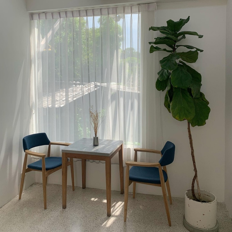 art farmer cafe, bob chiang mai, charin pie, cheevit cheeva cafe, cheevit cheeva dessert cafe, chic ruedoo, chom cafe and restaurant, gateway coffee roaster, groon, koff and things, koff and things cafe, mars cafe, mars.cnx, matchappen, mooh, morestto, much room cafe, shu homemade, taitoonbaan, tastecafe atelier, the baristro asian style, transit number 8, treespresso cafe, yelloo, กรุ่น, กรุ่นคาเฟ่, คาเฟ่, คาเฟ่ ใกล้ฉัน, คาเฟ่ชาเขียวเชียงใหม่, คาเฟ่ตัวเมืองเชียงใหม่, คาเฟ่นิมมาน, คาเฟ่เชียงใหม่, คาเฟ่เชียงใหม่ 2024, คาเฟ่เชียงใหม่ 2567, คาเฟ่เชียงใหม่ ในเมือง, คาเฟ่เชียงใหม่ ในเมือง 2024, คาเฟ่เชียงใหม่ ในเมือง 2567, คาเฟ่เชียงใหม่ในเมือง, คาเฟ่เมืองเชียงใหม่, คาเฟ่เมืองเชียงใหม่ 2024, คาเฟ่เมืองเชียงใหม่ 2567, คาเฟ่ใกล้ฉัน, คาเฟ่ในเมืองเชียงใหม่ 2024, คาเฟ่ในเมืองเชียงใหม่ 2567, จริณคาเฟ่, ชมคาเฟ่, ชมคาเฟ่ เชียงใหม่, ชิคฤดูคาเฟ่, ทรานซิสนัมเบอร์เอ้ก, ร้านโดนัทเชียงใหม่, หมู, ใต้ถุนบ้าน, top 20+ คาเฟ่ เมืองเชียงใหม่ [กรกฎาคม 2024] บรรยากาศดี ร้านสวย กาแฟอร่อย มุมถ่ายรูปเยอะ