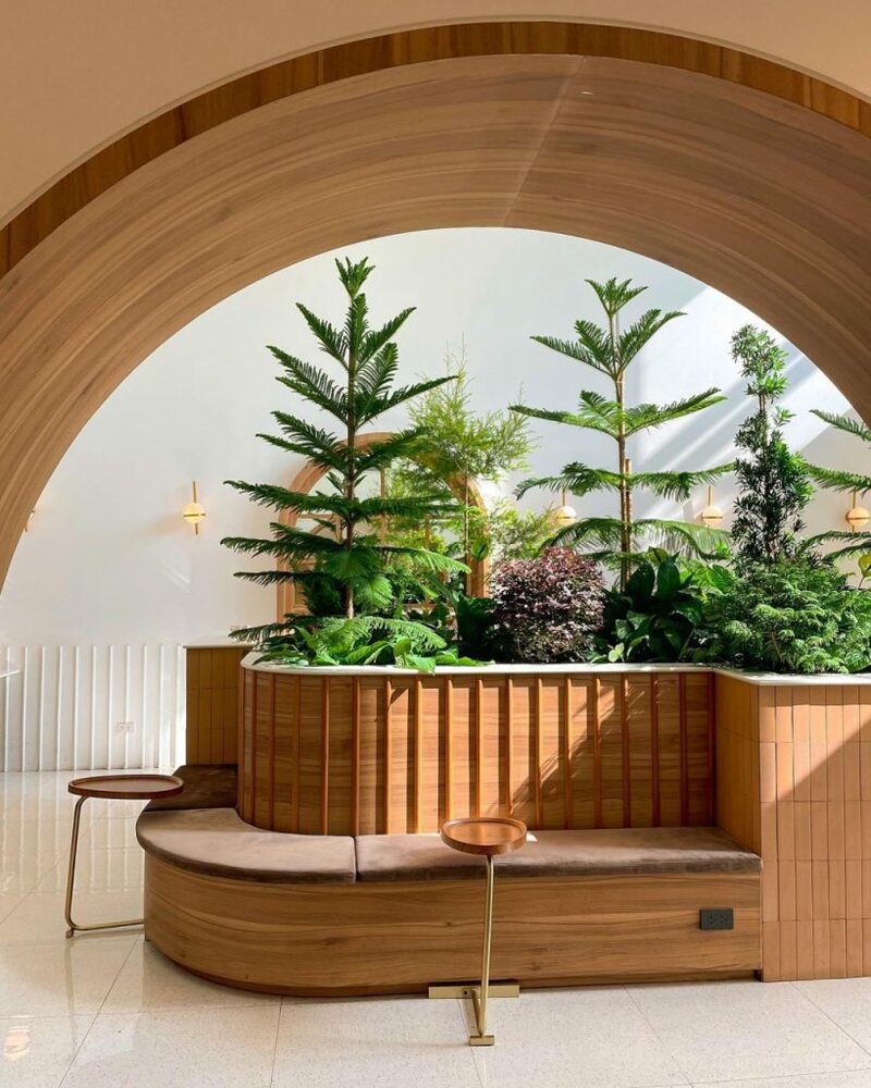 art farmer cafe, bob chiang mai, charin pie, cheevit cheeva cafe, cheevit cheeva dessert cafe, chic ruedoo, chom cafe and restaurant, gateway coffee roaster, groon, koff and things, koff and things cafe, mars cafe, mars.cnx, matchappen, mooh, morestto, much room cafe, shu homemade, taitoonbaan, tastecafe atelier, the baristro asian style, transit number 8, treespresso cafe, yelloo, กรุ่น, กรุ่นคาเฟ่, คาเฟ่, คาเฟ่ ใกล้ฉัน, คาเฟ่ชาเขียวเชียงใหม่, คาเฟ่ตัวเมืองเชียงใหม่, คาเฟ่นิมมาน, คาเฟ่เชียงใหม่, คาเฟ่เชียงใหม่ 2024, คาเฟ่เชียงใหม่ 2567, คาเฟ่เชียงใหม่ ในเมือง, คาเฟ่เชียงใหม่ ในเมือง 2024, คาเฟ่เชียงใหม่ ในเมือง 2567, คาเฟ่เชียงใหม่ในเมือง, คาเฟ่เมืองเชียงใหม่, คาเฟ่เมืองเชียงใหม่ 2024, คาเฟ่เมืองเชียงใหม่ 2567, คาเฟ่ใกล้ฉัน, คาเฟ่ในเมืองเชียงใหม่ 2024, คาเฟ่ในเมืองเชียงใหม่ 2567, จริณคาเฟ่, ชมคาเฟ่, ชมคาเฟ่ เชียงใหม่, ชิคฤดูคาเฟ่, ทรานซิสนัมเบอร์เอ้ก, ร้านโดนัทเชียงใหม่, หมู, ใต้ถุนบ้าน, top 20+ คาเฟ่ เมืองเชียงใหม่ [กรกฎาคม 2024] บรรยากาศดี ร้านสวย กาแฟอร่อย มุมถ่ายรูปเยอะ