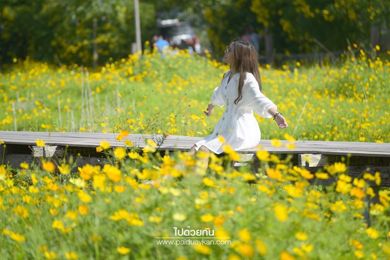 คาเฟ่ลพบุรี, เที่ยวคาเฟ่ลพบุรี, เที่ยวลพบุรี, ลพบุรี, ร้านอาหารลพบุรี, ร้านกาแฟลพบุรี, top 15+ คาเฟ่ลพบุรี สายชิค สายธรรมชาติ ต้องมาโดน